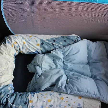 Idyllisches Rustico Im Verkehrsfreien Dorfkern Zur Alleinbenuetzung * Gambarogno